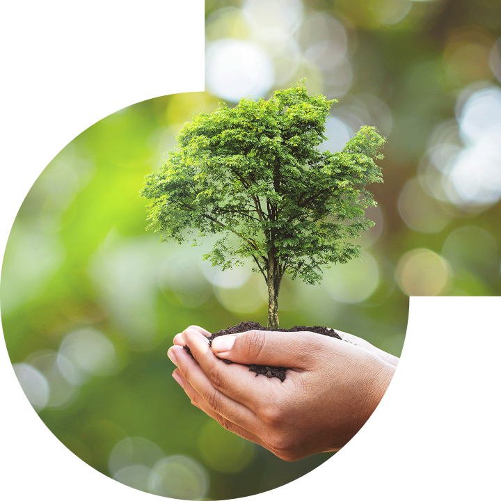 关怀人类、文化、环境与社会